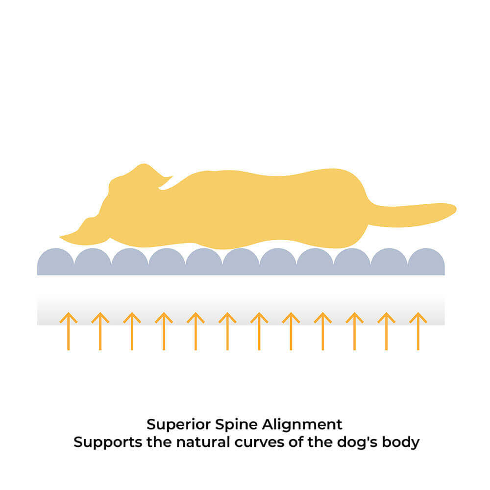 orthopedic-non-slip-fleece-dog-bed-with-removable-washable-cover-img6.jpg