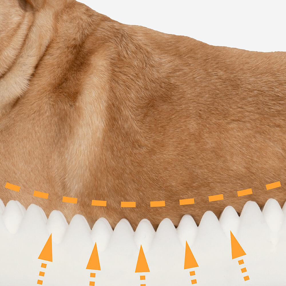 orthopedic-non-slip-washable-fleece-dog-bed-with-memory-foam-support-img7.jpg