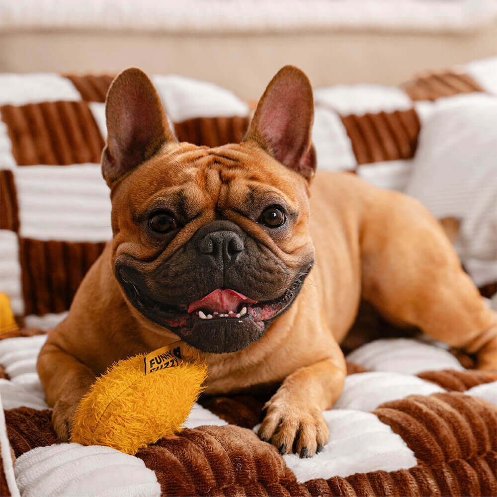 orthopedic-washable-non-slip-oxford-dog-sofa-bed-with-removable-cover-img7.jpg