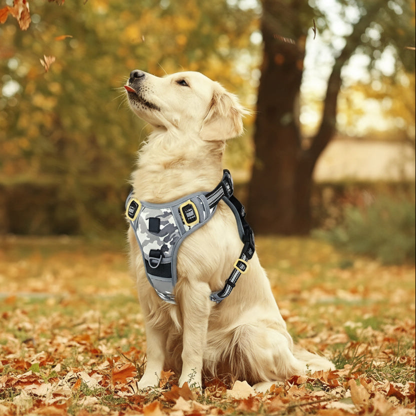 reflective-breathable-mesh-dog-harness-with-adjustable-fit-img2.jpg