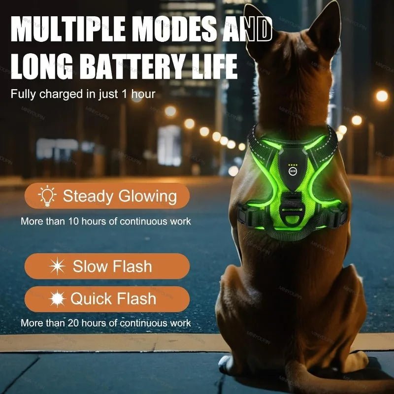 reflective-led-oxford-dog-harness-adjustable-no-pull-night-safety-img3.jpg