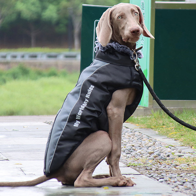 reflective-waterproof-oxford-dog-jacket-with-built-in-harness-img4.jpg