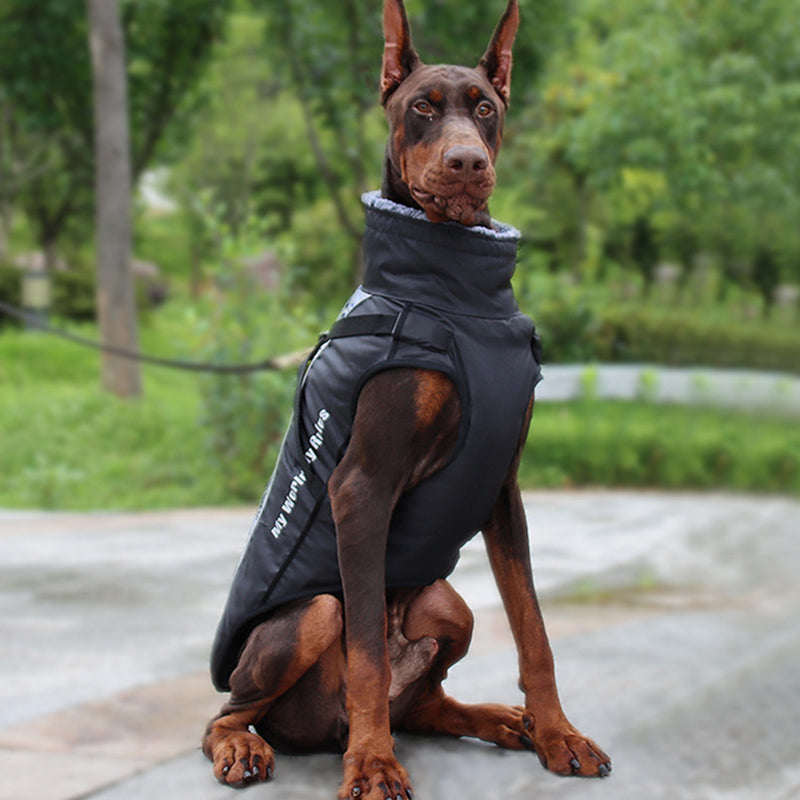 reflective-waterproof-oxford-dog-jacket-with-built-in-harness-img5.jpg