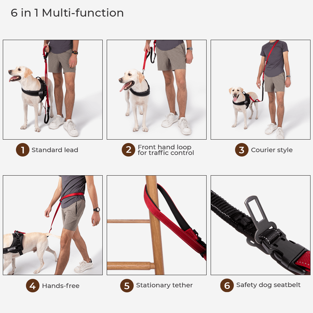 reflective-waterproof-washable-adjustable-dog-rain-jacket-img10.png