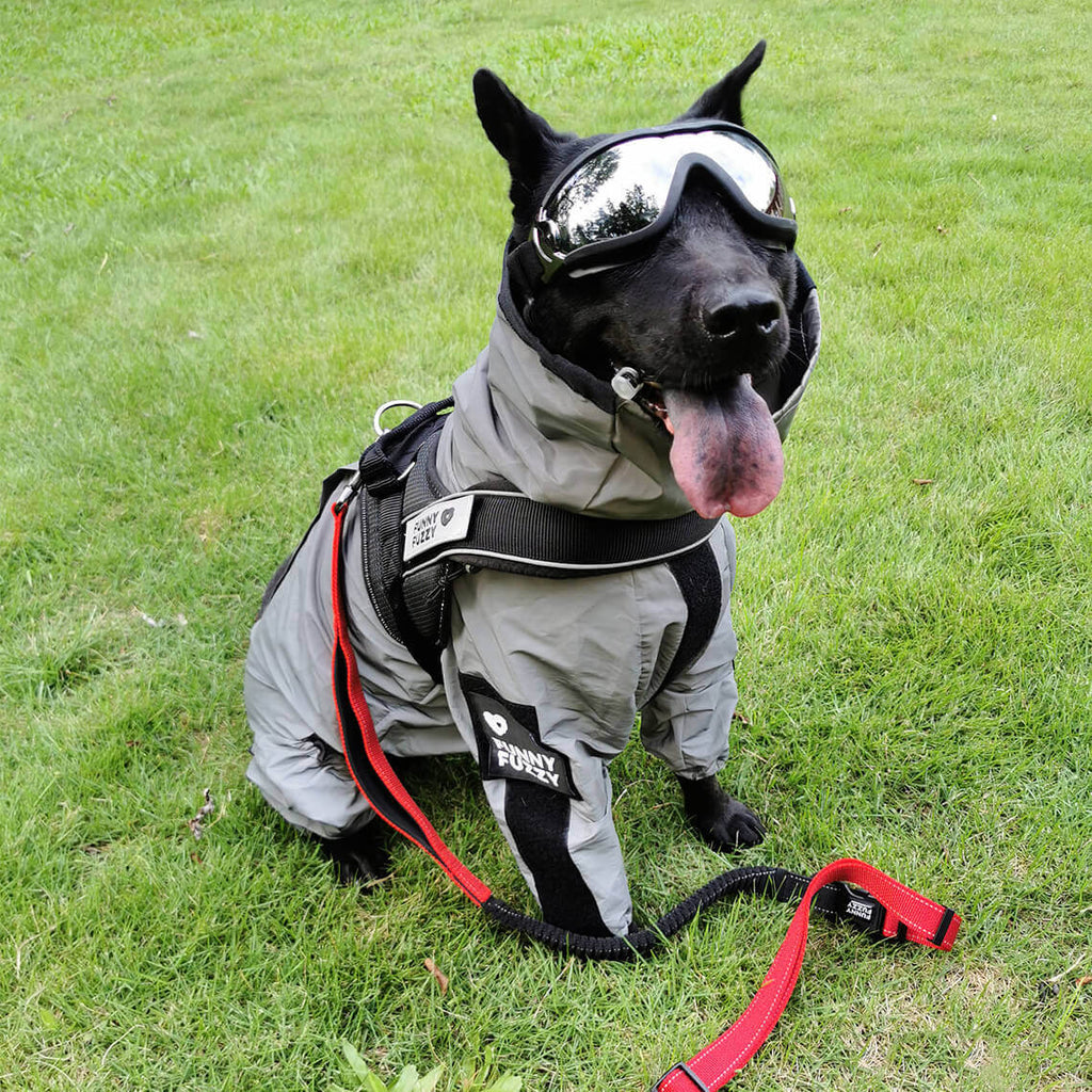 reflective-waterproof-washable-adjustable-dog-rain-jacket-img14.jpg