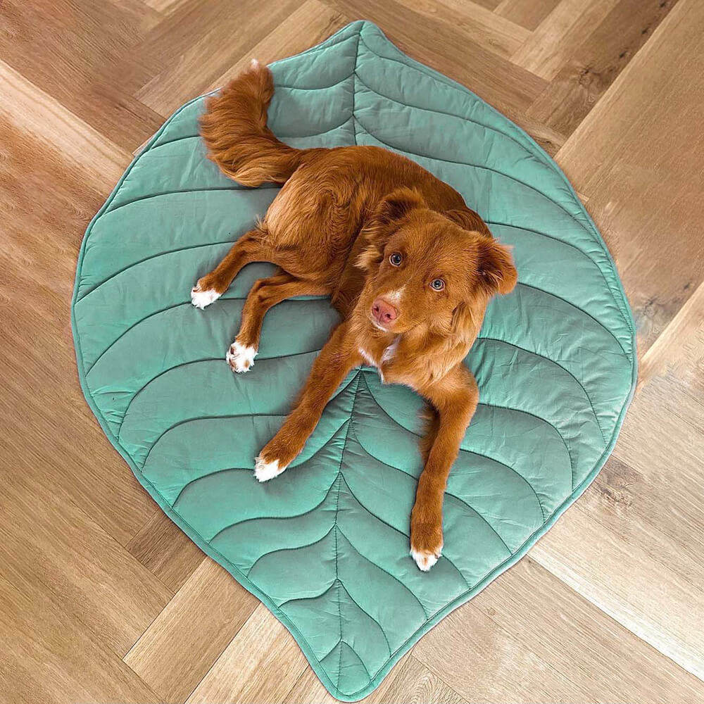 washable-cotton-soft-dog-blanket-mat-for-couch-img11.jpg