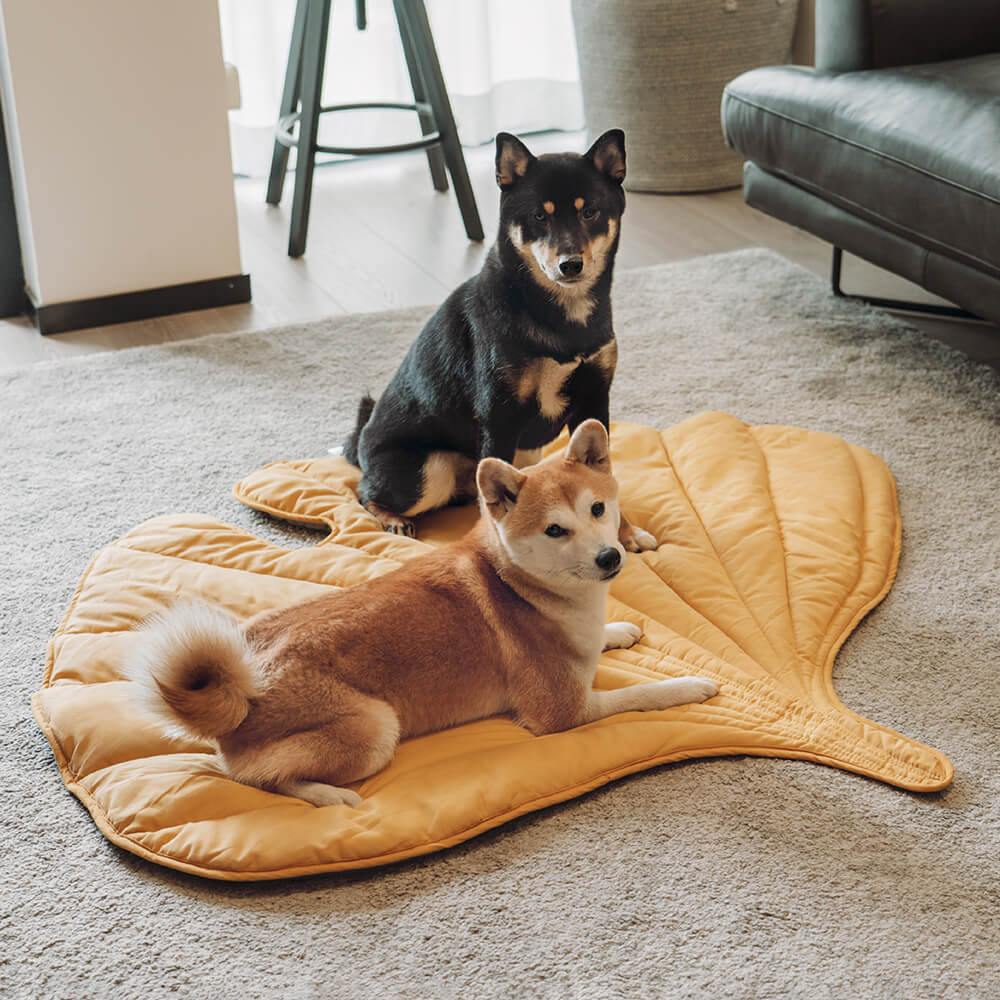 washable-cotton-soft-dog-blanket-mat-for-couch-img13.jpg
