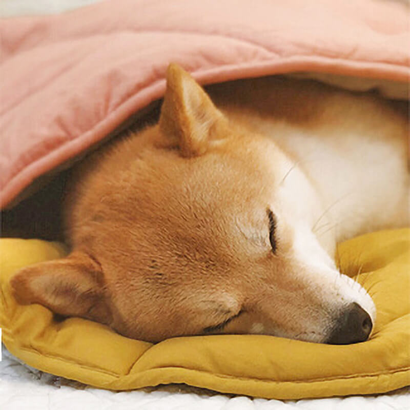 washable-cotton-soft-dog-blanket-mat-for-couch-img14.jpg