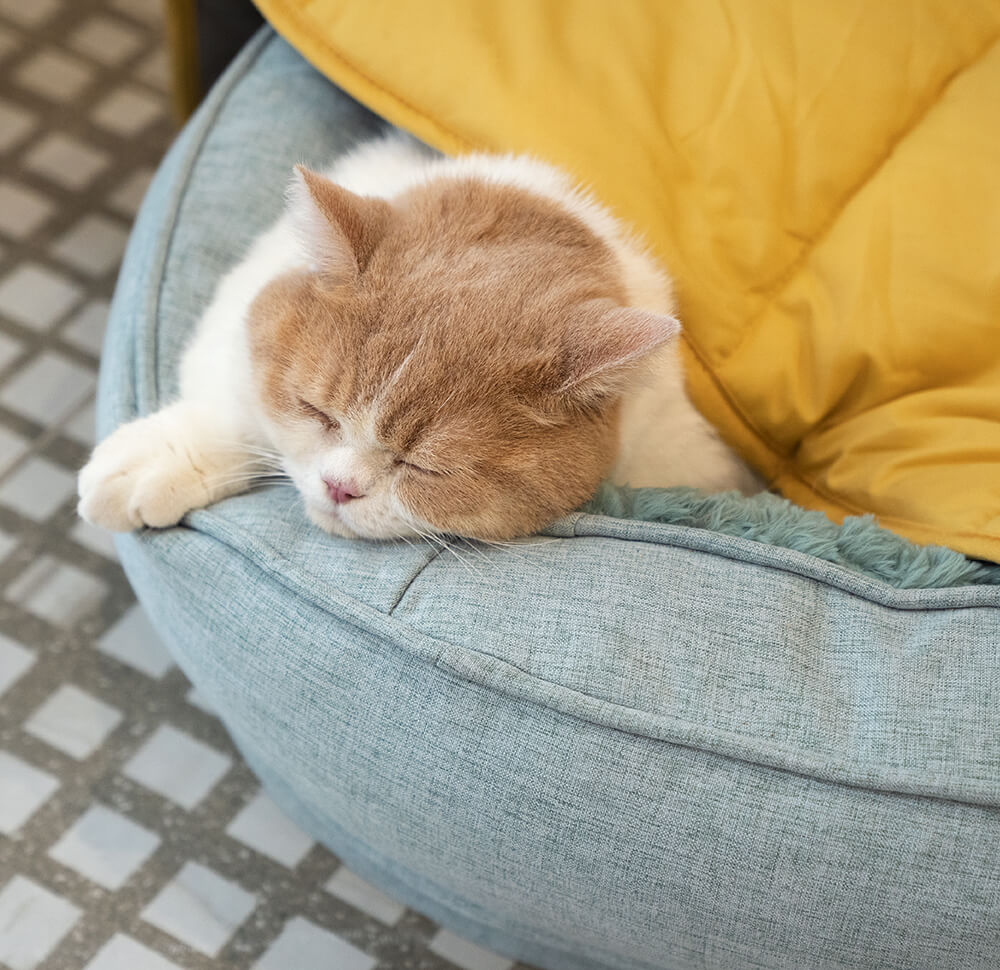 washable-cotton-soft-dog-blanket-mat-for-couch-img17.jpg
