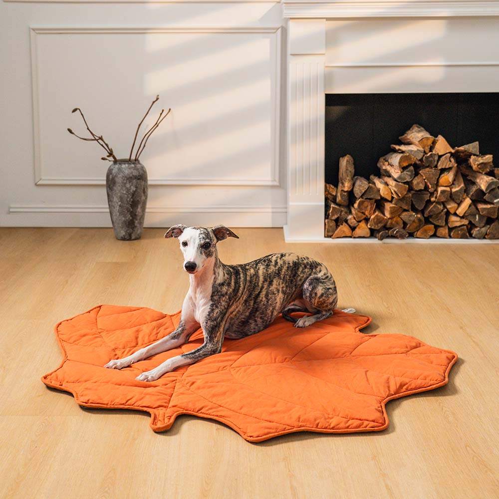 washable-cotton-soft-dog-blanket-mat-for-couch-img22.jpg