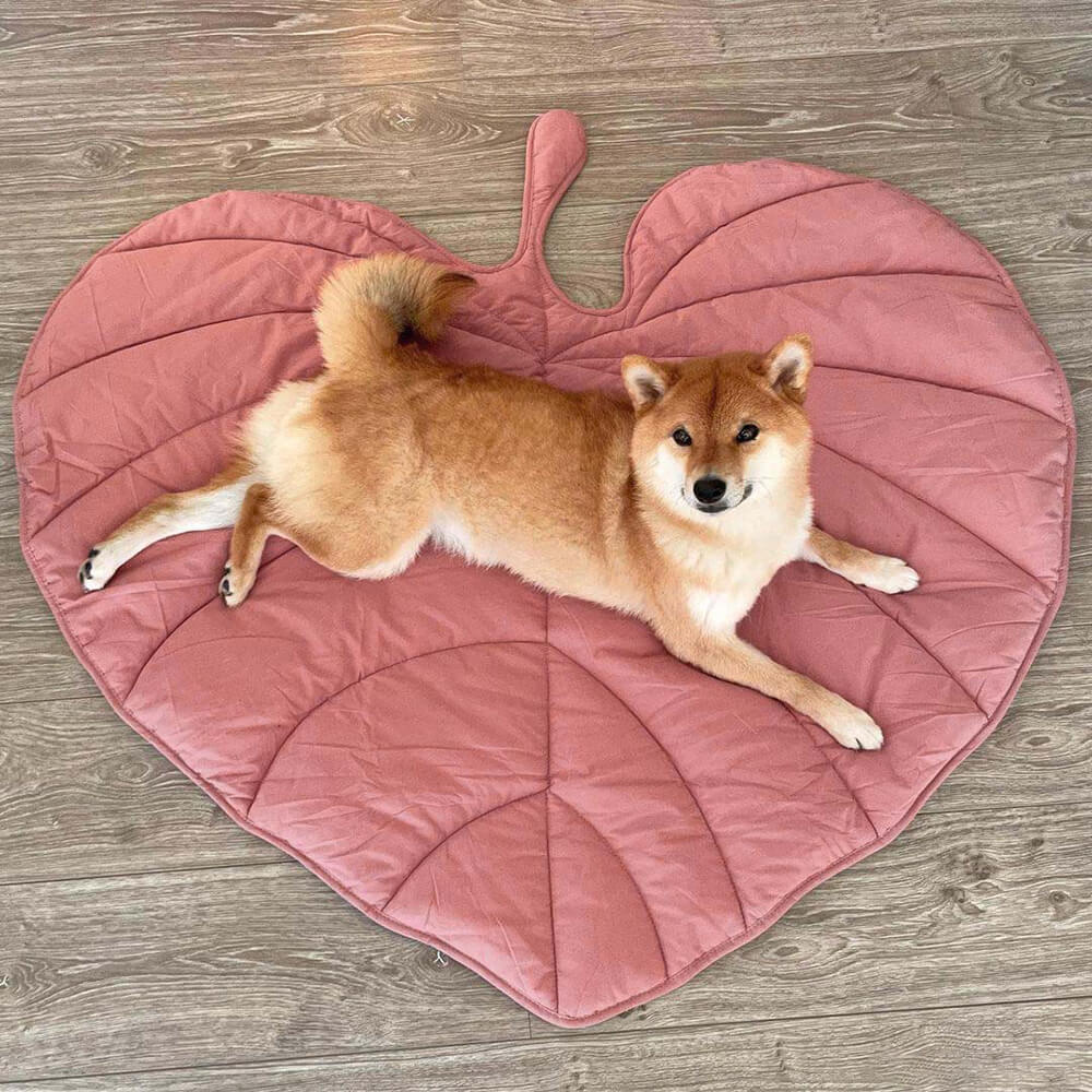 washable-cotton-soft-dog-blanket-mat-for-couch-img8.jpg