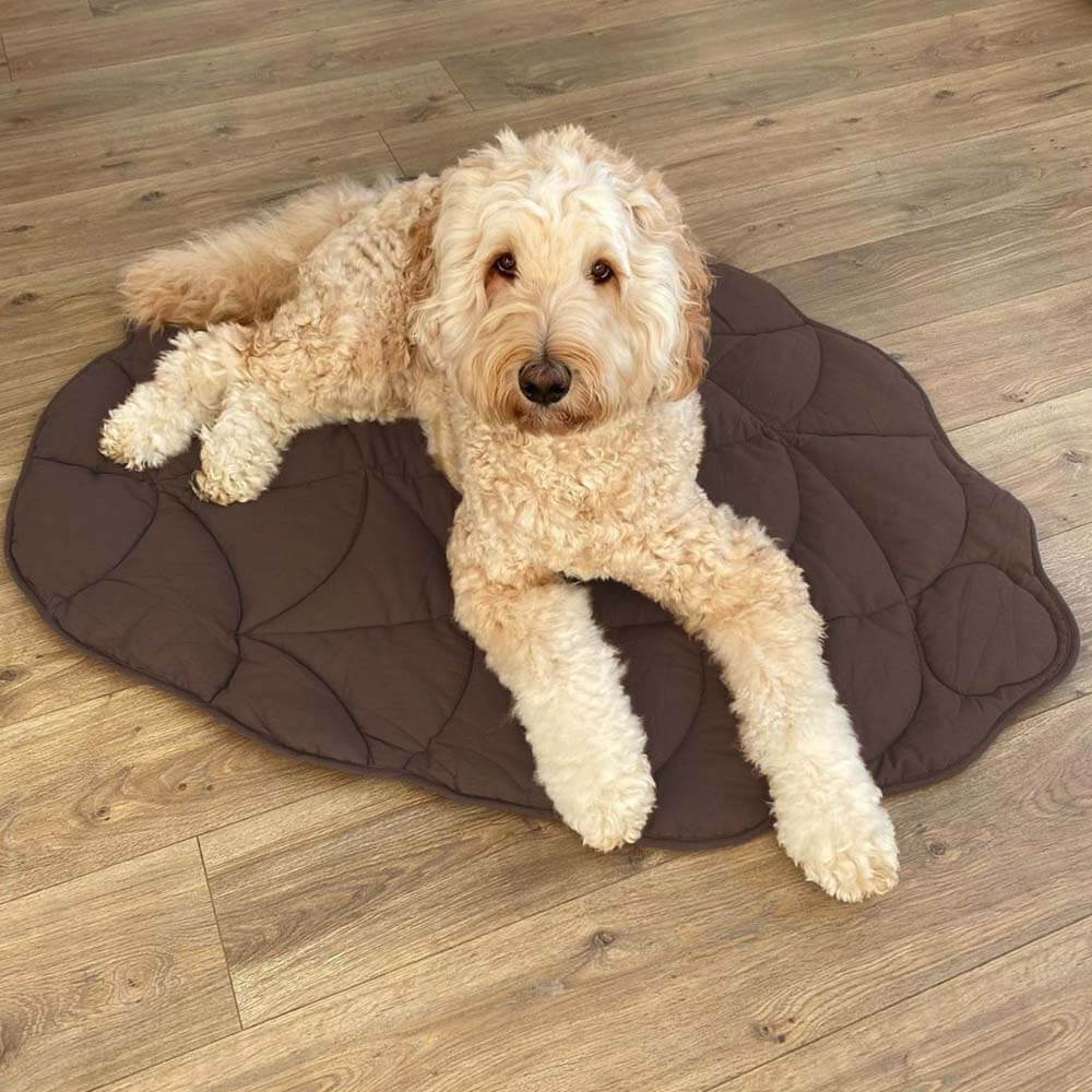 washable-cotton-soft-dog-blanket-mat-for-couch-img9.jpg