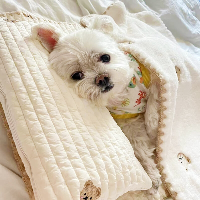 washable-embroidered-cotton-dog-cat-bed-set-with-pillow-quilt-img3.jpg