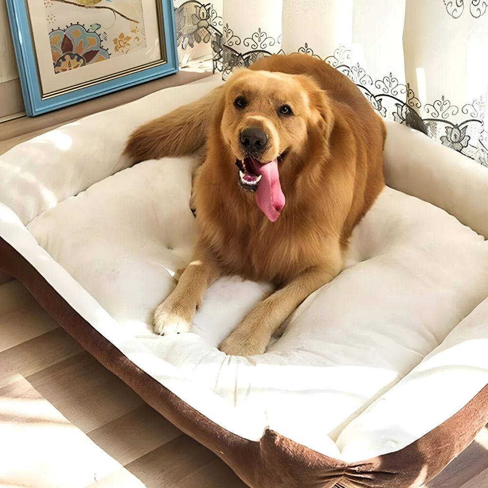 washable-non-slip-microfiber-dog-cat-bed-for-all-breeds-img3.jpg