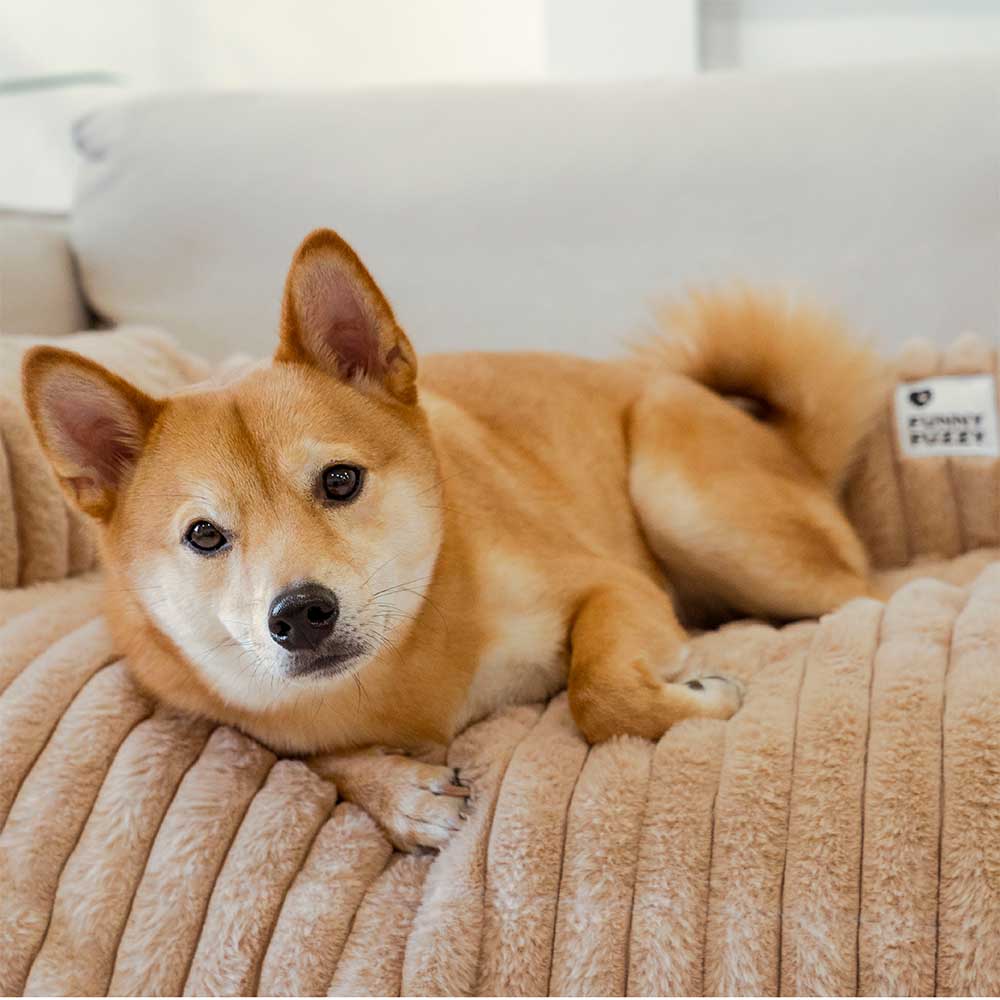 washable-non-slip-plush-dog-couch-cover-for-furniture-protection-img12.jpg