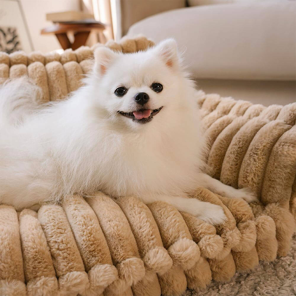 washable-orthopedic-plush-dog-cat-sofa-bed-with-non-slip-base-img15.jpg