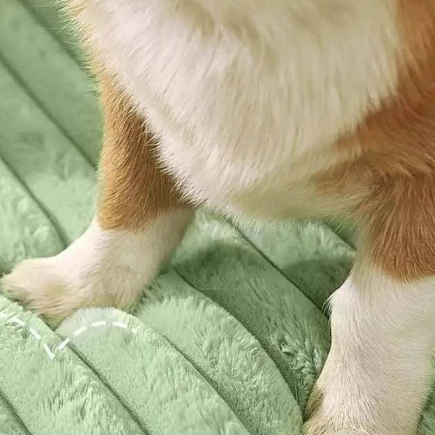 washable-plush-double-sided-dog-bed-with-removable-cover-img2.webp