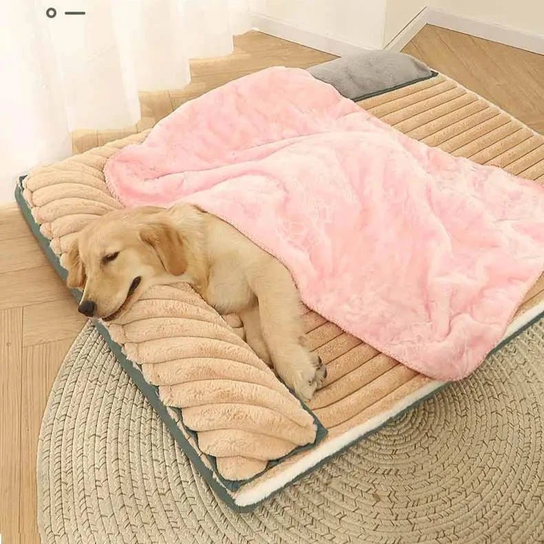 washable-plush-double-sided-dog-bed-with-removable-cover-img3.webp