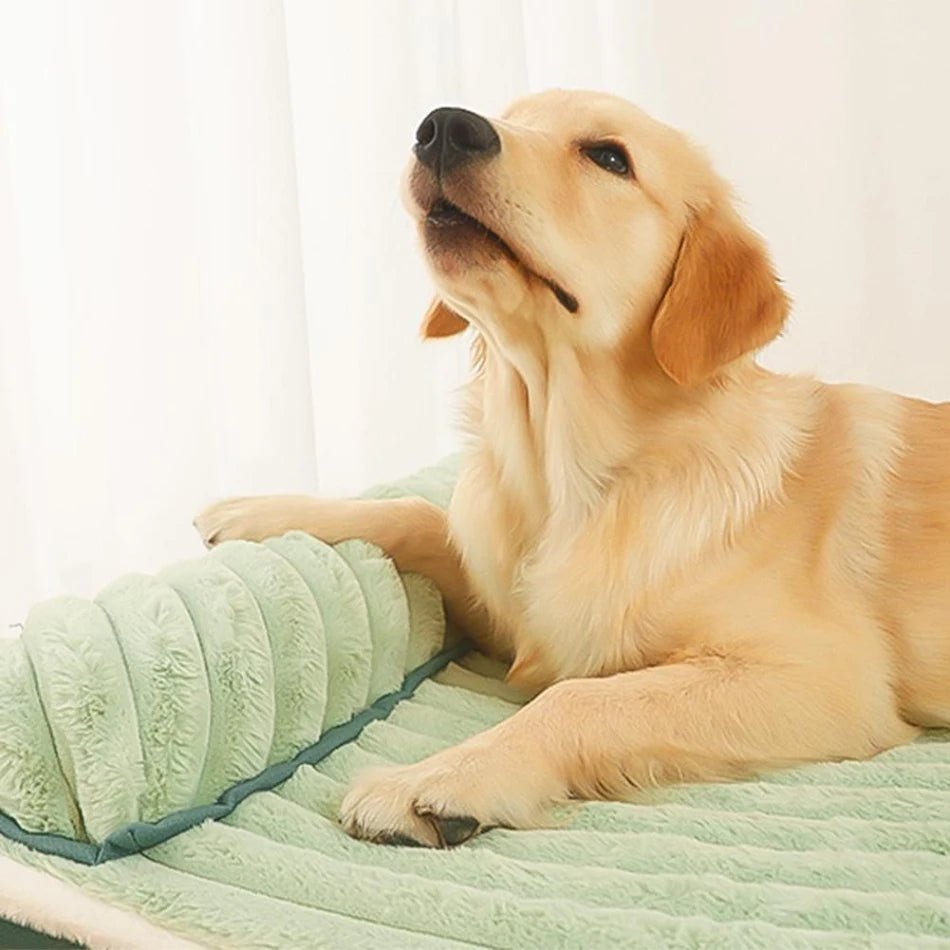 washable-plush-double-sided-dog-bed-with-removable-cover-img9.webp