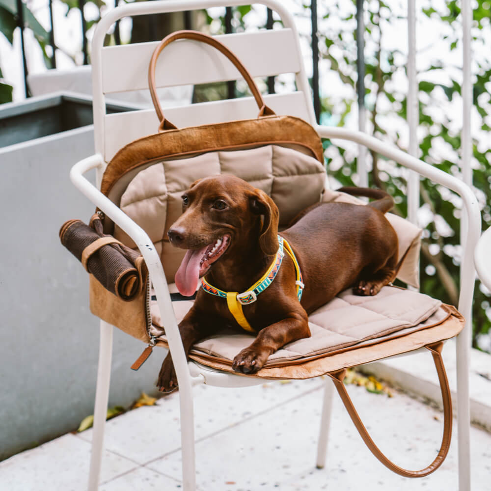 waterproof-breathable-mesh-expandable-dog-cat-carrier-for-travel-img15.jpg