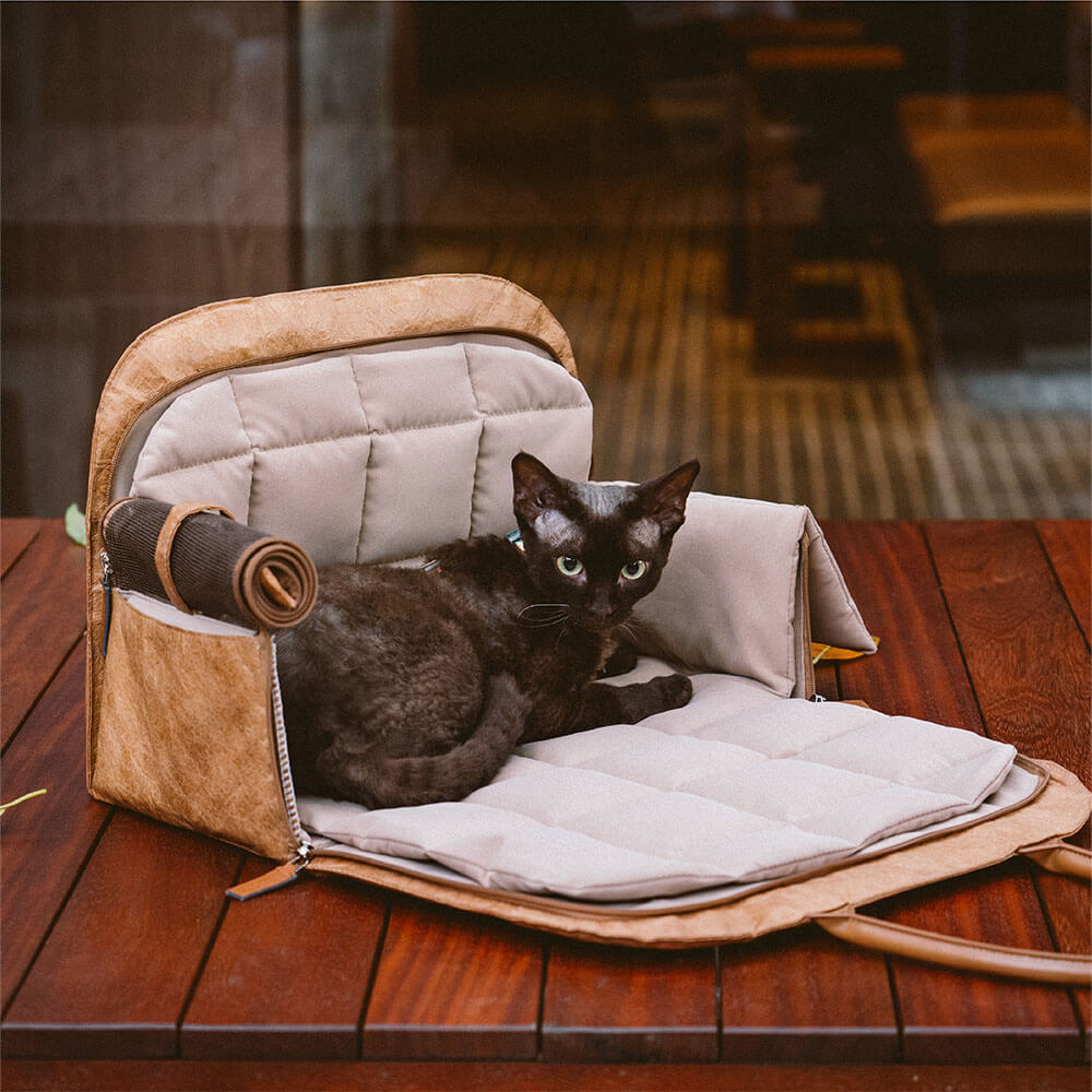 waterproof-breathable-mesh-expandable-dog-cat-carrier-for-travel-img24.jpg