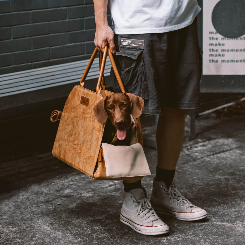waterproof-breathable-mesh-expandable-dog-cat-carrier-for-travel-img3.jpg