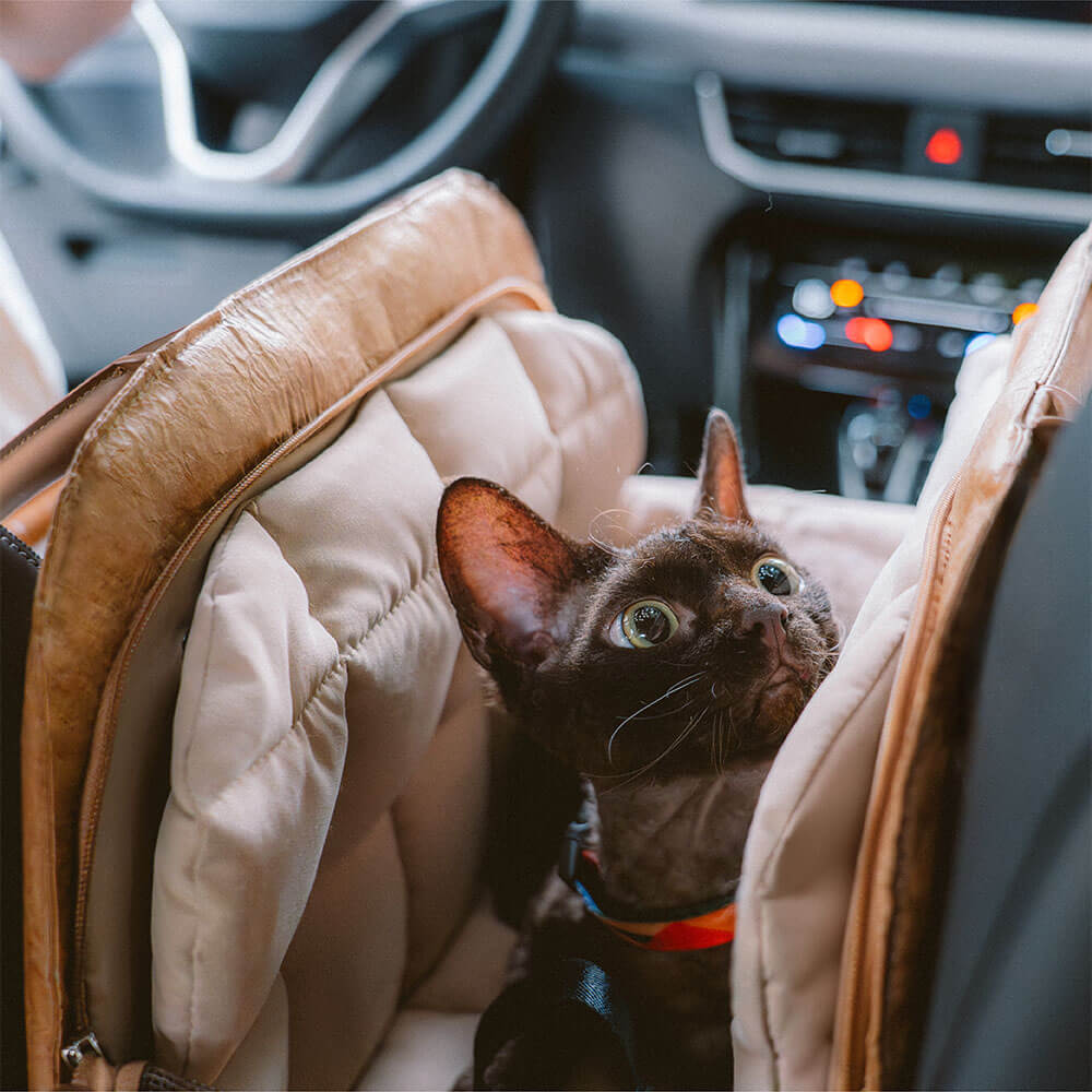 waterproof-breathable-mesh-expandable-dog-cat-carrier-for-travel-img36.jpg