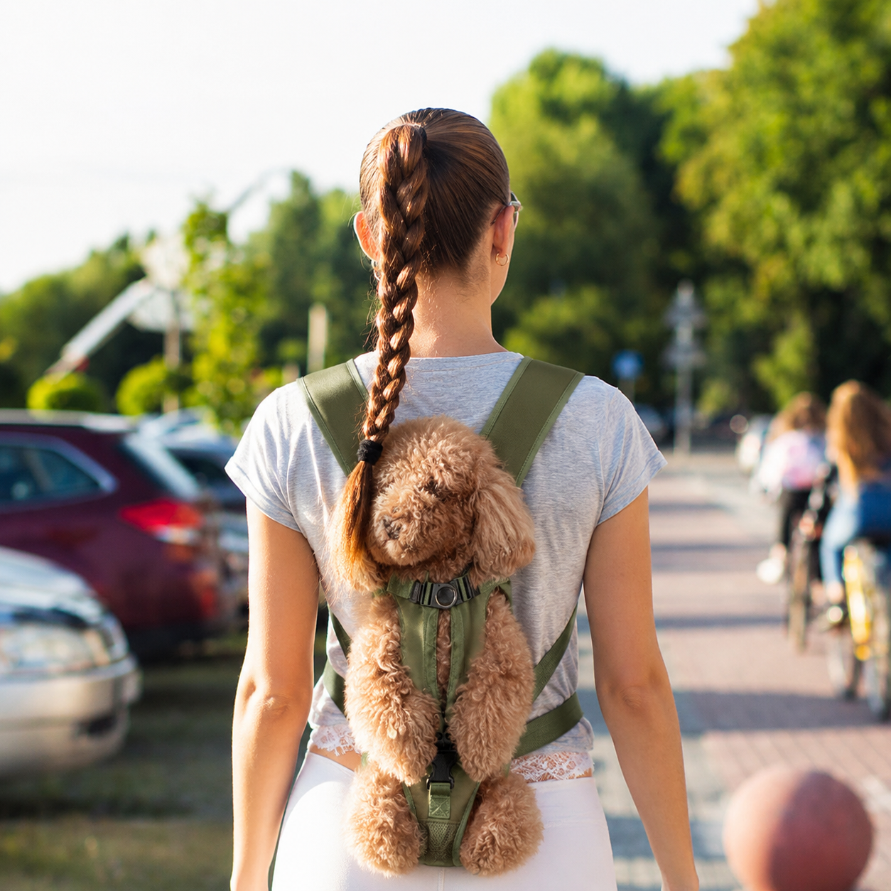 waterproof-breathable-oxford-dog-backpack-carrier-with-adjustable-straps-img15.png