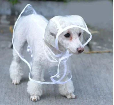 waterproof-breathable-transparent-pvc-dog-raincoat-with-adjustable-strap-img2.webp