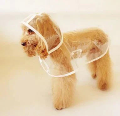 waterproof-breathable-transparent-pvc-dog-raincoat-with-adjustable-strap-img3.webp