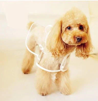 waterproof-breathable-transparent-pvc-dog-raincoat-with-adjustable-strap-img4.webp