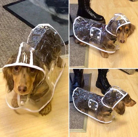 waterproof-breathable-transparent-pvc-dog-raincoat-with-adjustable-strap-img8.webp