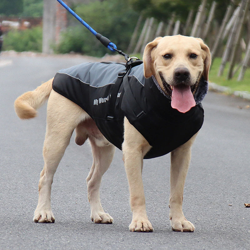 waterproof-cotton-dog-winter-jacket-for-medium-large-breeds-img1.jpg