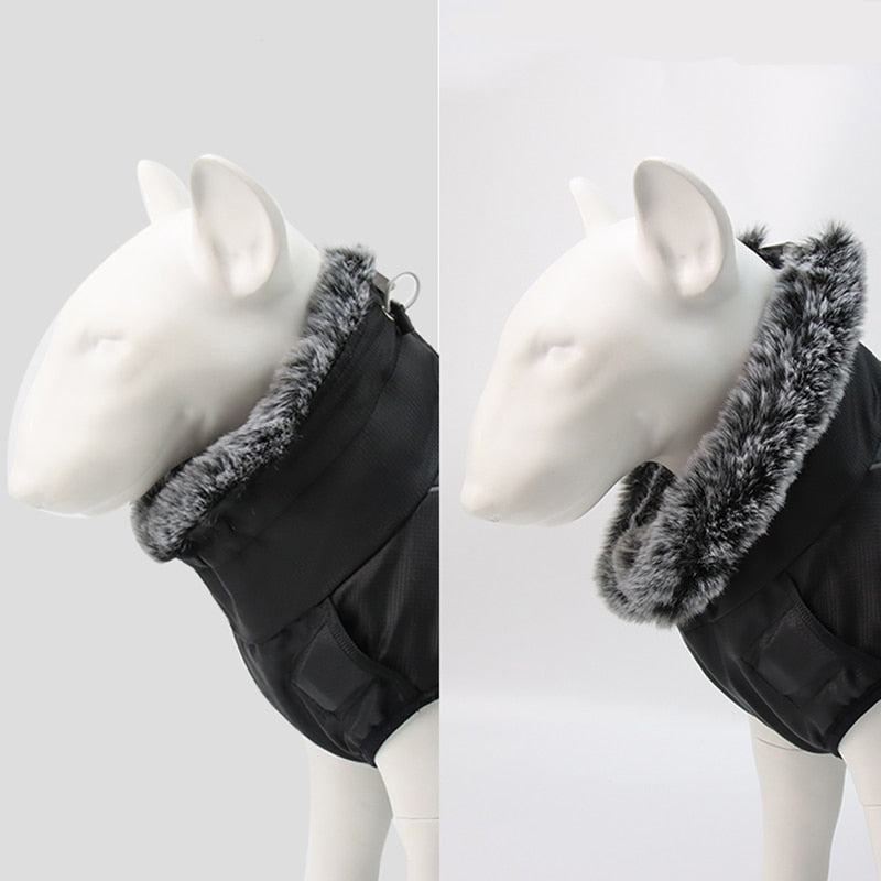 waterproof-cotton-dog-winter-jacket-for-medium-large-breeds-img10.jpg
