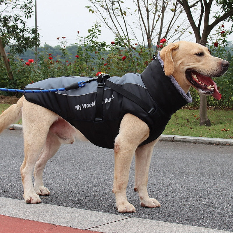 waterproof-cotton-dog-winter-jacket-for-medium-large-breeds-img2.jpg