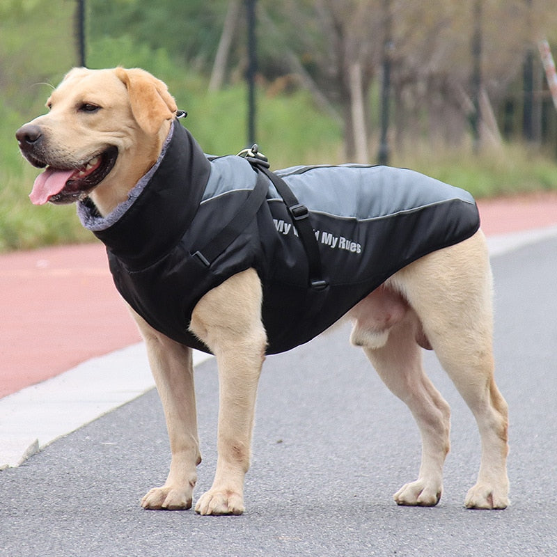 waterproof-cotton-dog-winter-jacket-for-medium-large-breeds-img3.jpg