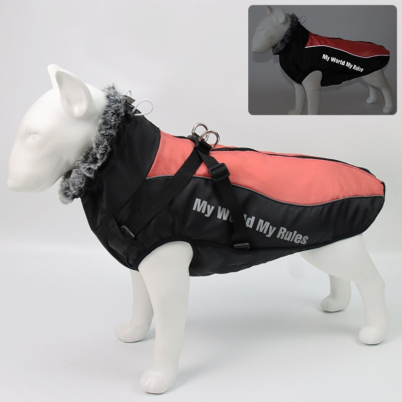 waterproof-cotton-dog-winter-jacket-for-medium-large-breeds-img6.jpg