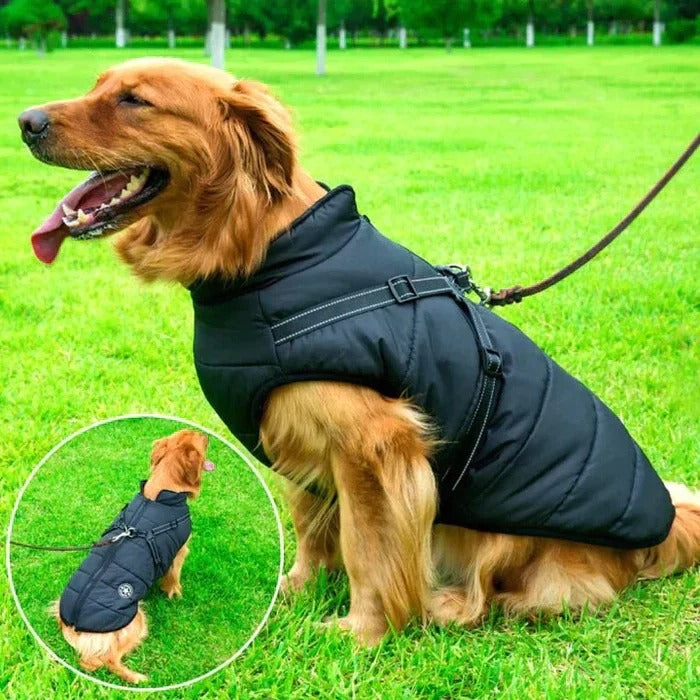 waterproof-fleece-lined-dog-winter-jacket-with-built-in-harness-img2.jpg