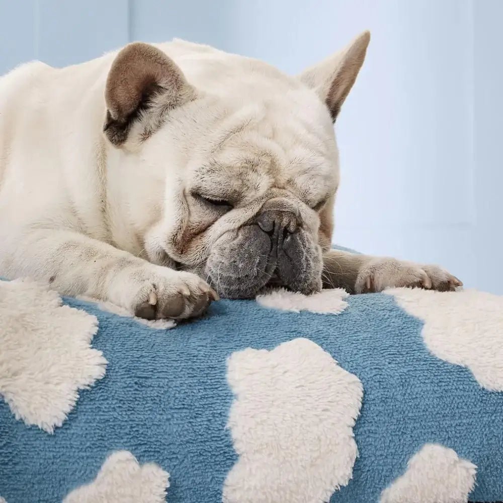 waterproof-non-slip-washable-dog-bed-with-removable-cover-img2.webp