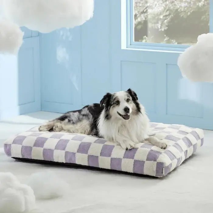 waterproof-non-slip-washable-dog-bed-with-removable-cover-img3.webp