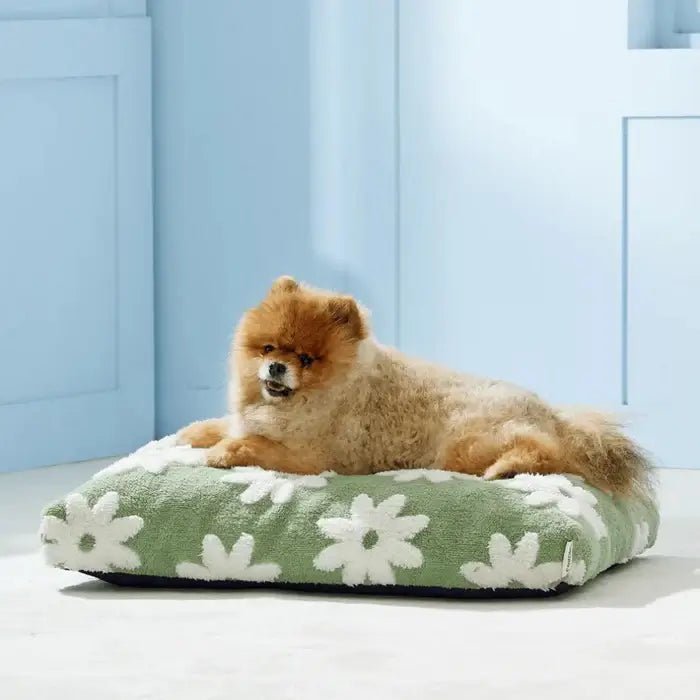 waterproof-non-slip-washable-dog-bed-with-removable-cover-img5.webp