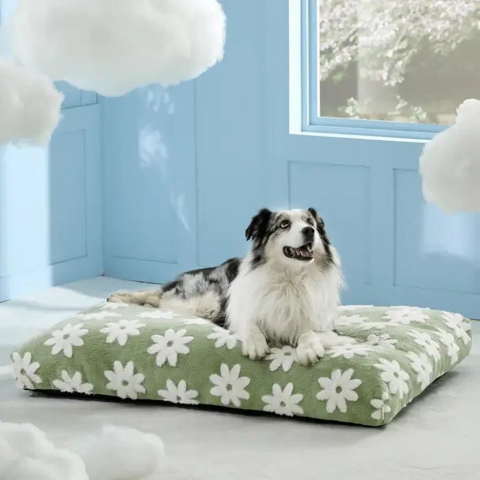 waterproof-non-slip-washable-dog-bed-with-removable-cover-img6.webp