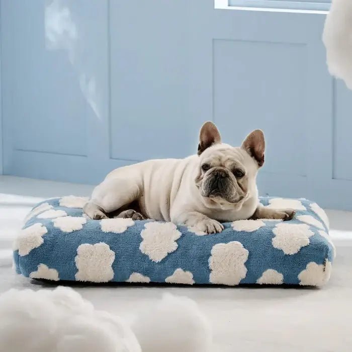 waterproof-non-slip-washable-dog-bed-with-removable-cover-img7.webp