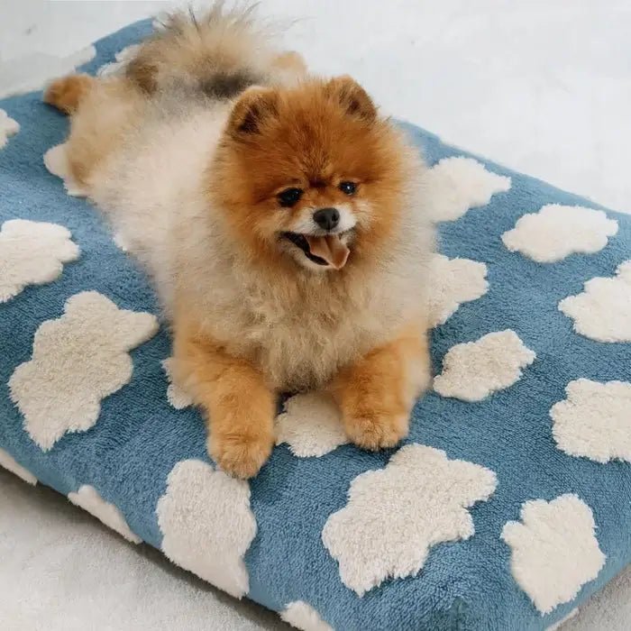 waterproof-non-slip-washable-dog-bed-with-removable-cover-img8.webp