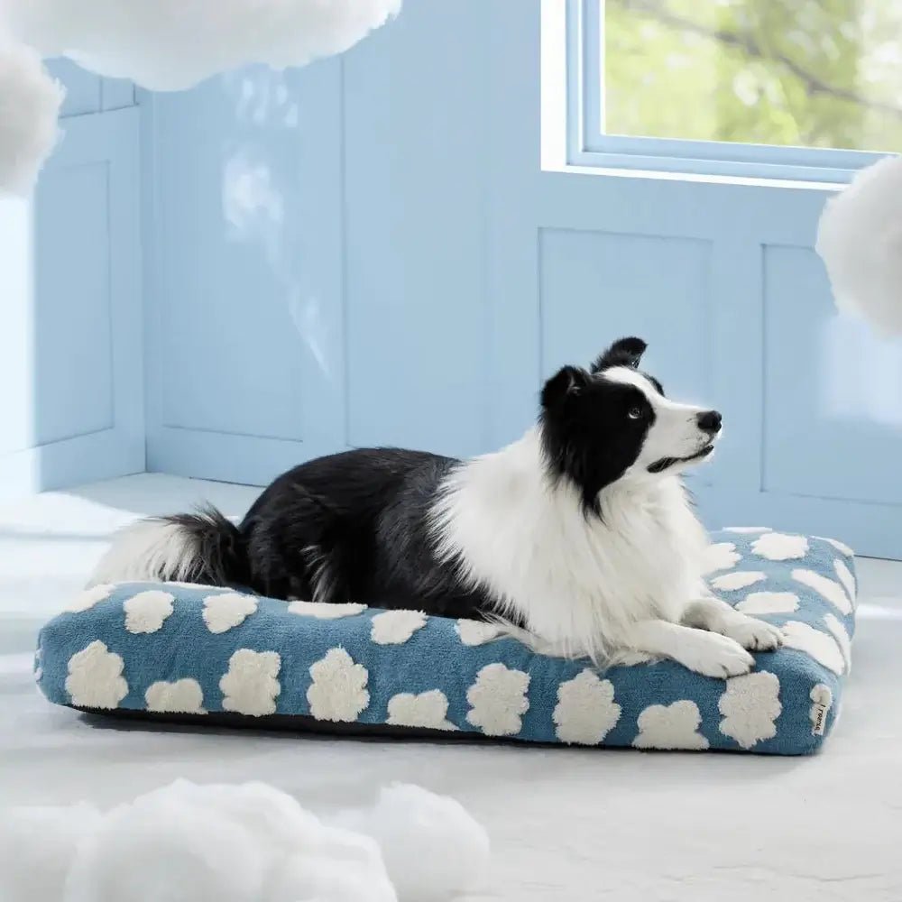 waterproof-non-slip-washable-dog-bed-with-removable-cover-img9.webp