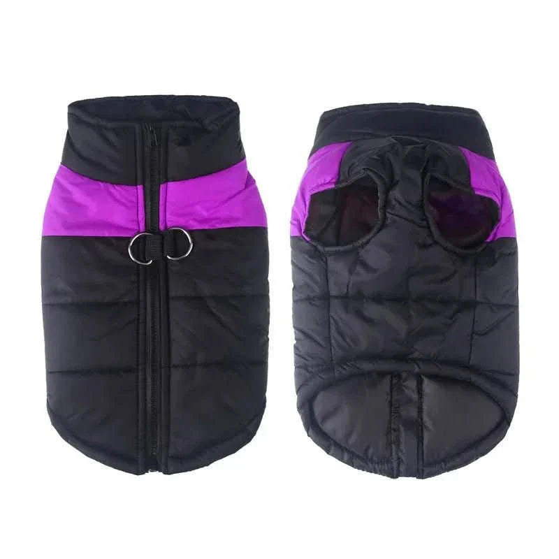 waterproof-windproof-winter-dog-jacket-with-d-ring-xs-to-6xl-img9.webp